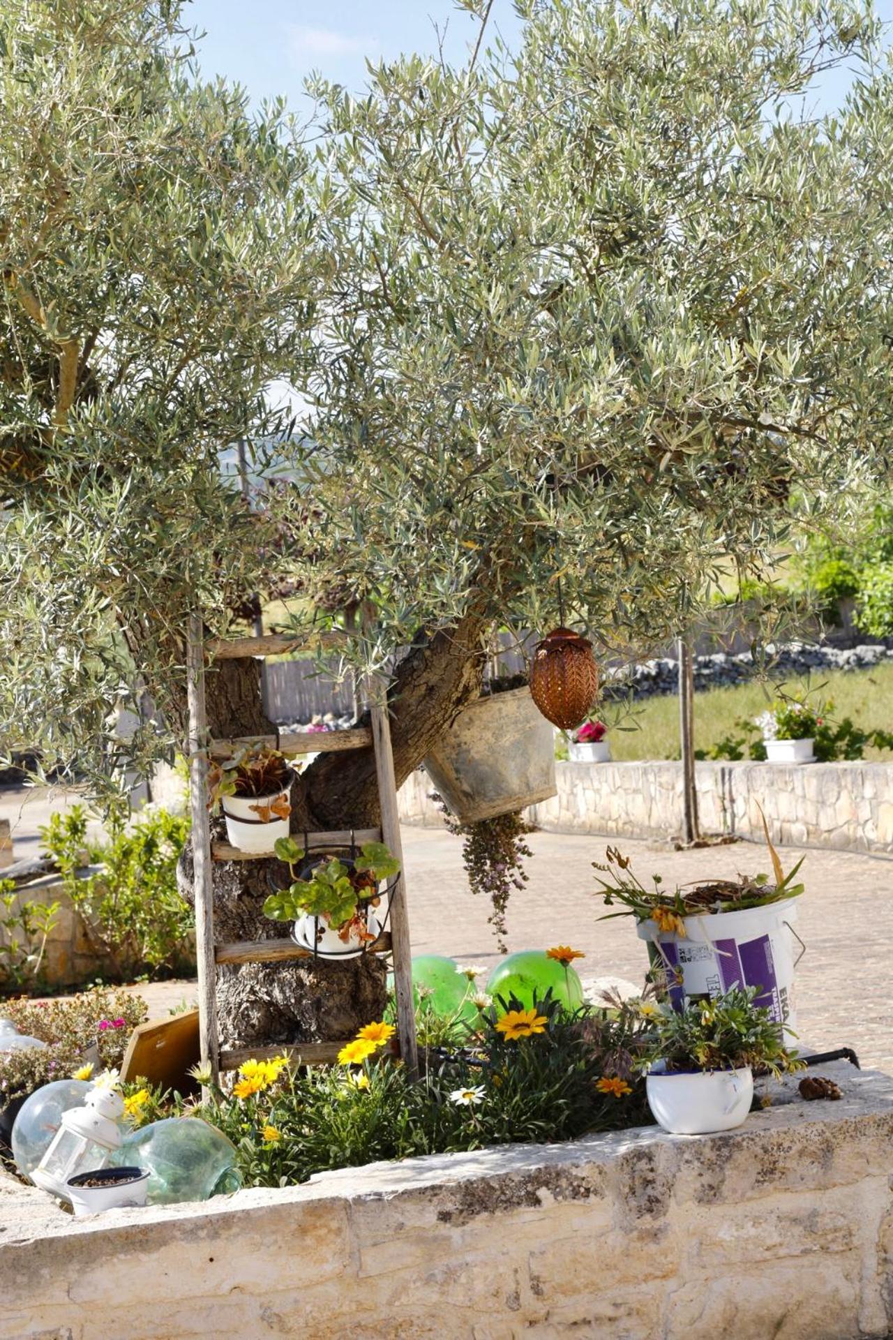Il Vigneto Sole&Luna Con Piscina Privata Martina Franca Extérieur photo